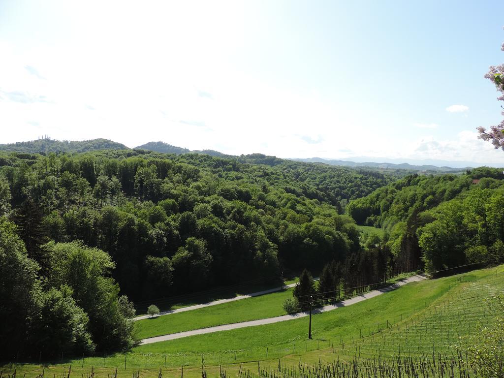 Weingut Gaestezimmer Gruber Еренгаузен Екстер'єр фото